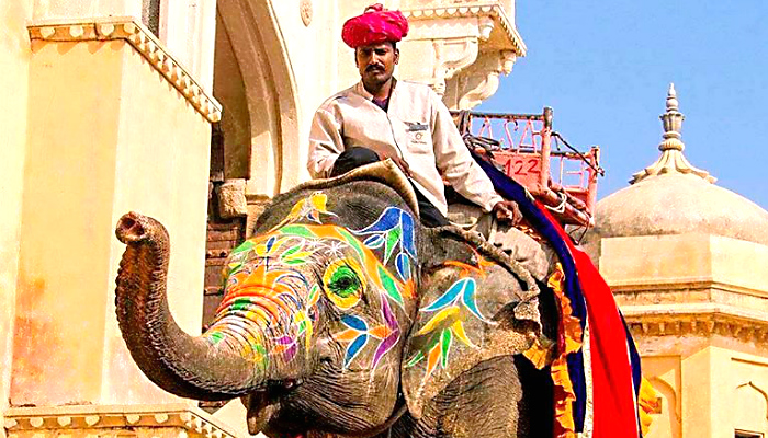 Tour Package in Jaipur