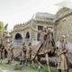 haldighati-tour-package-1